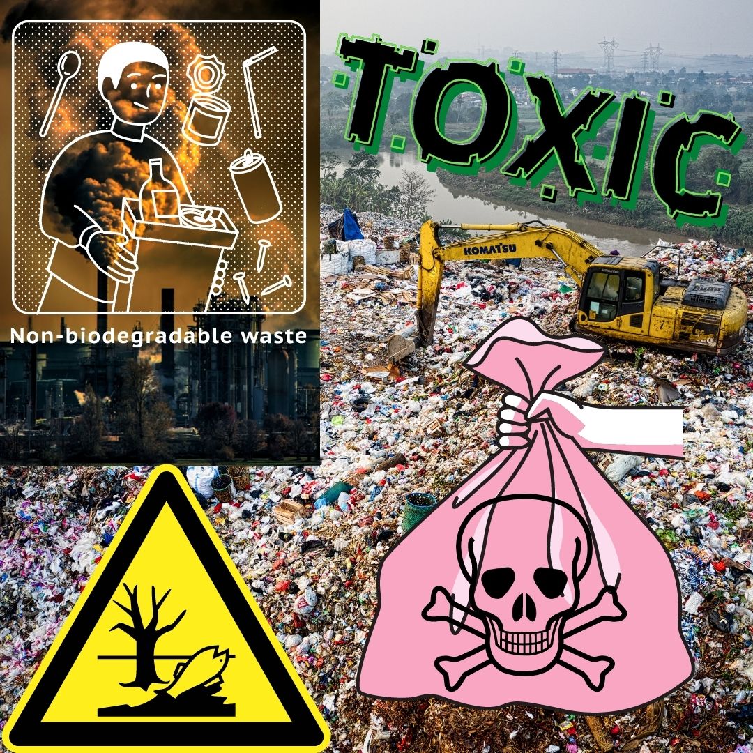 Makeup Wipe Pollution