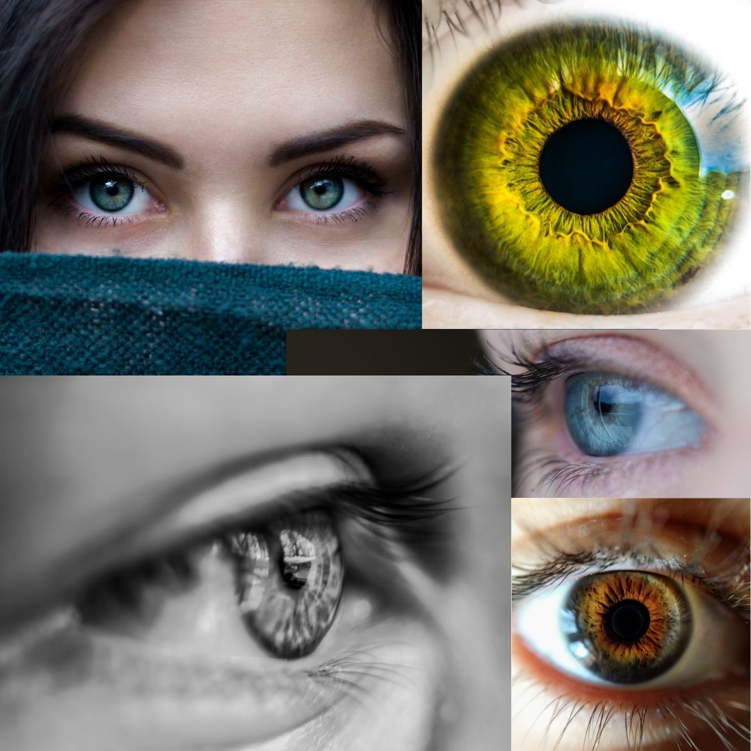 Visuals